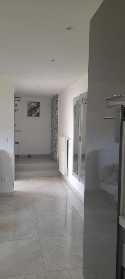 Chez Flo Apartment Mittelhausbergen Bagian luar foto